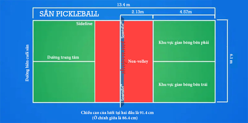 sân pickleball chuẩn thi đấu- shopvn review