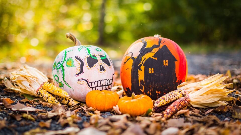 Halloween là gì? Nguồn gốc và ý nghĩa của lễ hội Halloween